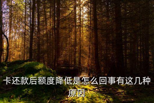 信用卡未逾期额度比别人低,信用卡逾期额度为零怎么办