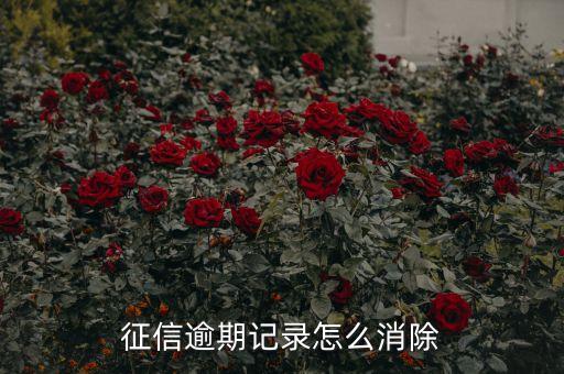 征信逾期记录怎么消除