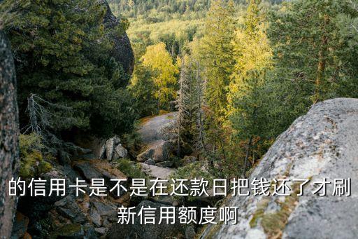 的信用卡是不是在还款日把钱还了才刷新信用额度啊