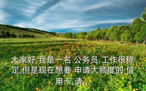 大家好,我是一名 公务员,工作很稳定,但是现在想要 申请大额度的 信用卡,请...