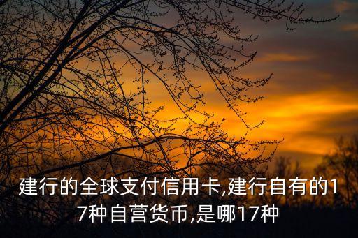 建行的全球支付信用卡,建行自有的17种自营货币,是哪17种