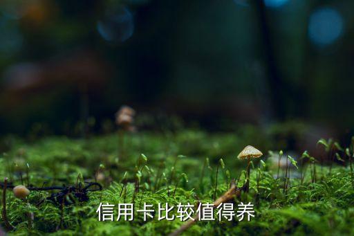 信用卡比较值得养