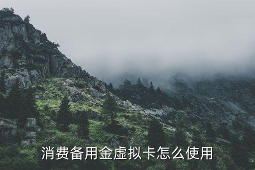 消费备用金虚拟卡怎么使用