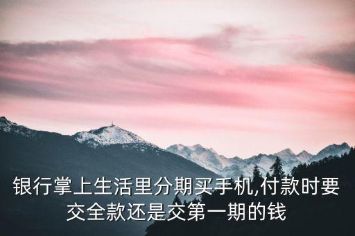 银行掌上生活里分期买手机,付款时要交全款还是交第一期的钱