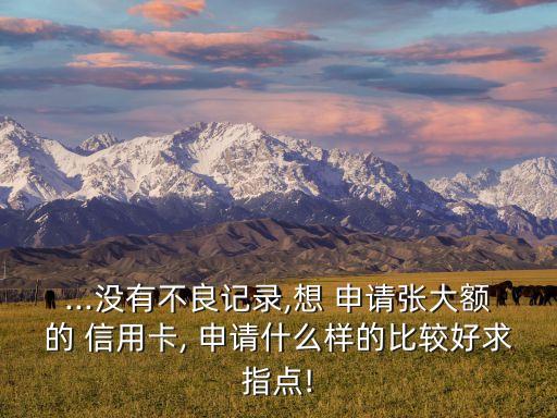 ...没有不良记录,想 申请张大额的 信用卡, 申请什么样的比较好求指点!