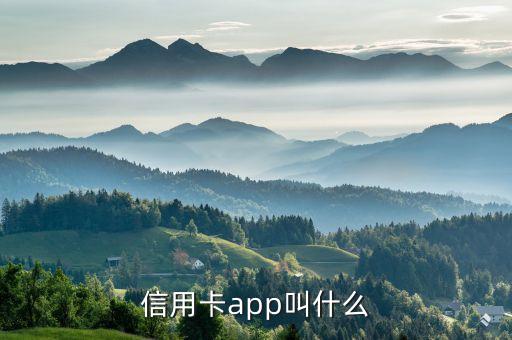 信用卡app叫什么