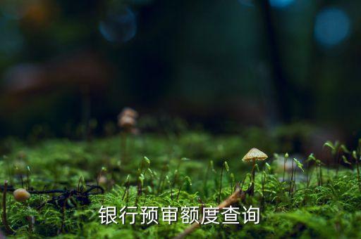 银行预审额度查询