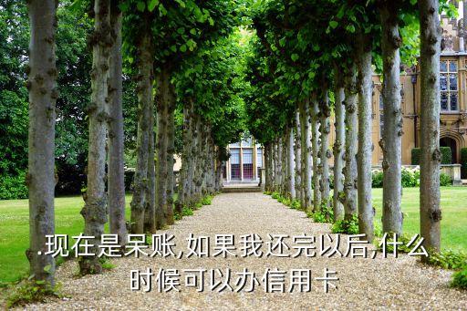 .现在是呆账,如果我还完以后,什么时候可以办信用卡