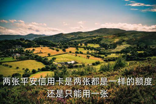 两张平安信用卡是两张都是一样的额度还是只能用一张