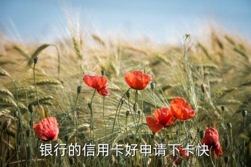 银行的信用卡好申请下卡快
