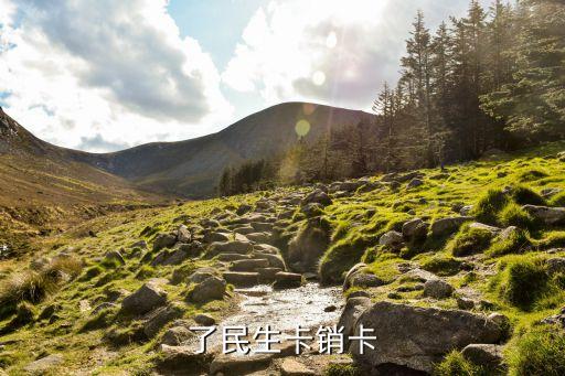 了民生卡销卡