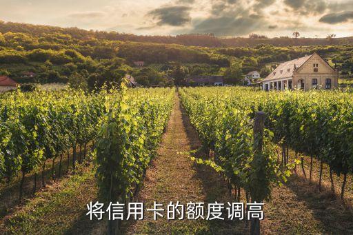 将信用卡的额度调高