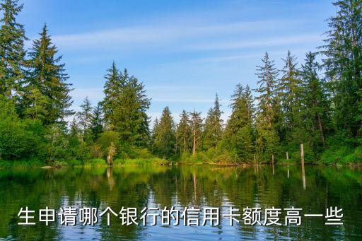 生申请哪个银行的信用卡额度高一些