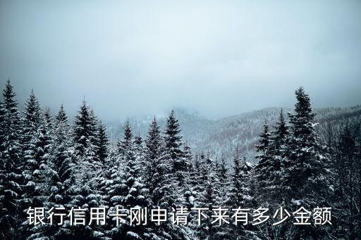 银行信用卡刚申请下来有多少金额