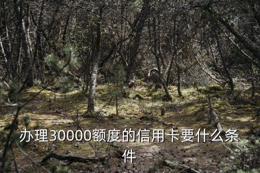 3万元额度的信用卡怎么办,大额信用卡怎么办理