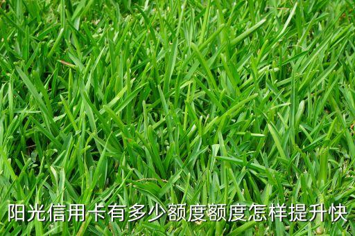 阳光信用卡有多少额度额度怎样提升快