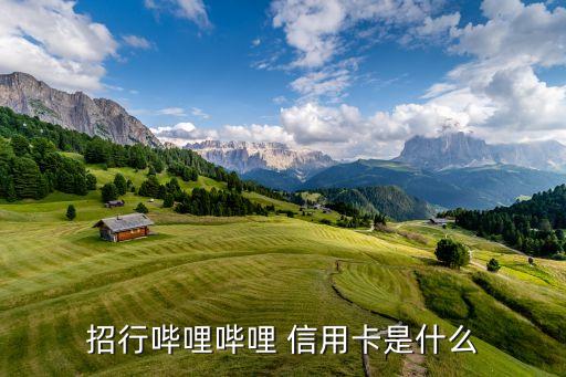 招行哔哩哔哩 信用卡是什么