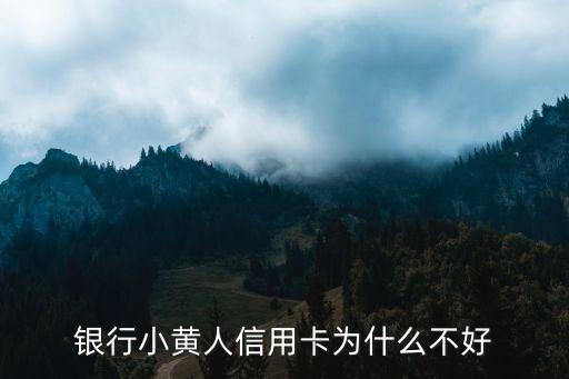 银行小黄人信用卡为什么不好