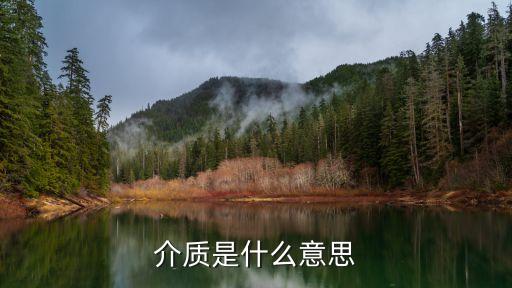 介质是什么意思