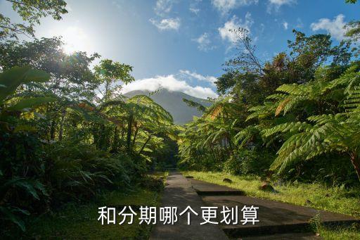 信用卡分期付款还是贷款,信用卡还是银行卡分期付款