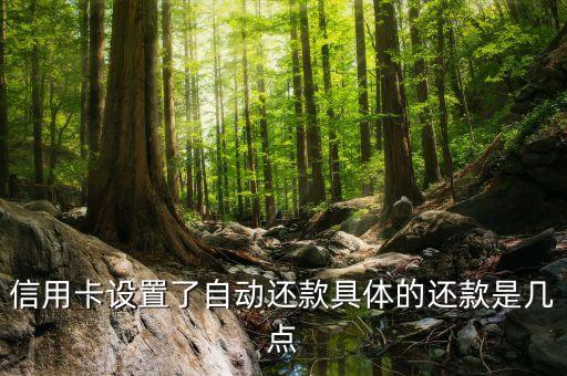 信用卡设置了自动还款具体的还款是几点