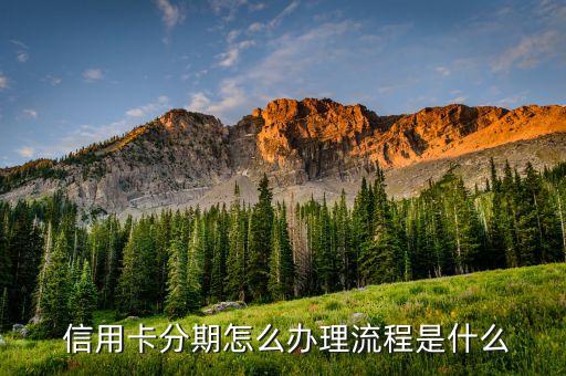  信用卡分期怎么办理流程是什么