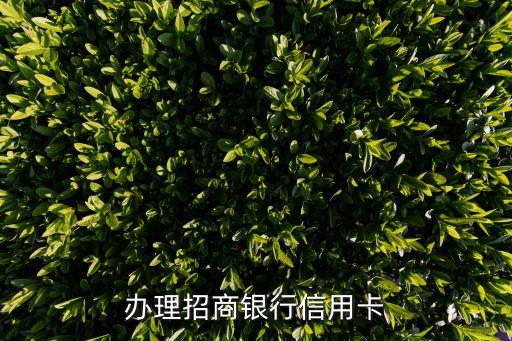 办理招商银行信用卡