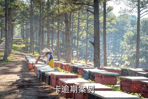 卡逾期案例