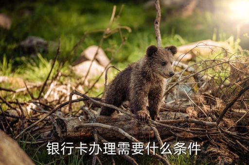 银行卡办理需要什么条件