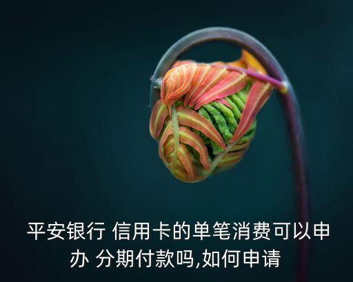  平安银行 信用卡的单笔消费可以申办 分期付款吗,如何申请