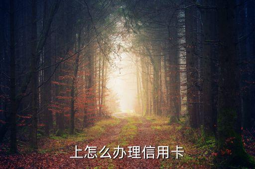 上怎么办理信用卡