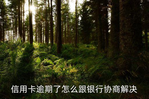 信用卡逾期了怎么跟银行协商解决