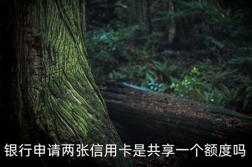 银行申请两张信用卡是共享一个额度吗