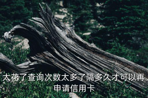 太花了查询次数太多了隔多久才可以再申请信用卡