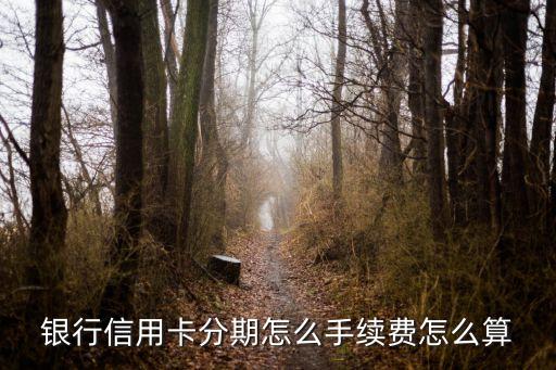 信用卡账单分期有什么费用,用信用卡分期账单有什么影响