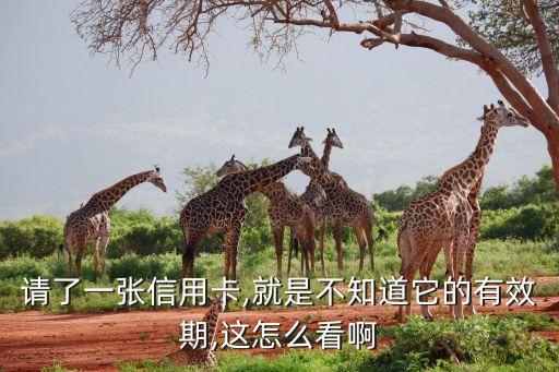 请了一张信用卡,就是不知道它的有效期,这怎么看啊
