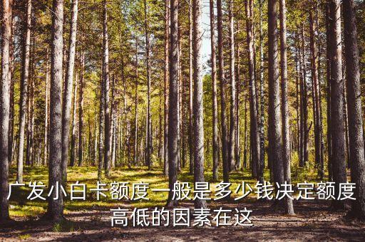 广发小白卡额度一般是多少钱决定额度高低的因素在这