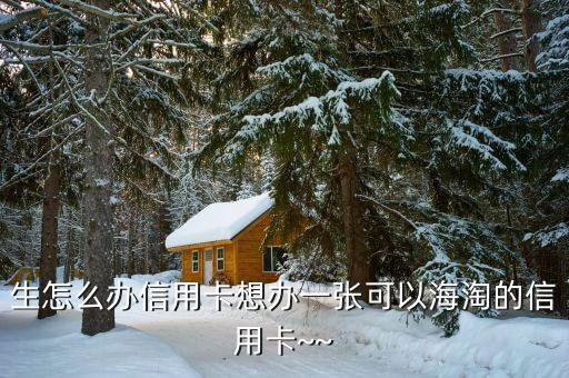 生怎么办信用卡想办一张可以海淘的信用卡~~