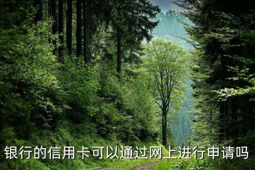 银行的信用卡可以通过网上进行申请吗
