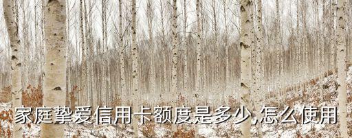 家庭挚爱信用卡额度是多少,怎么使用