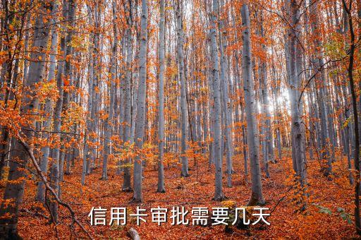 信用卡审批需要几天