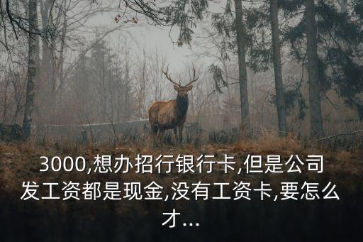 3000,想办招行银行卡,但是公司发工资都是现金,没有工资卡,要怎么才...