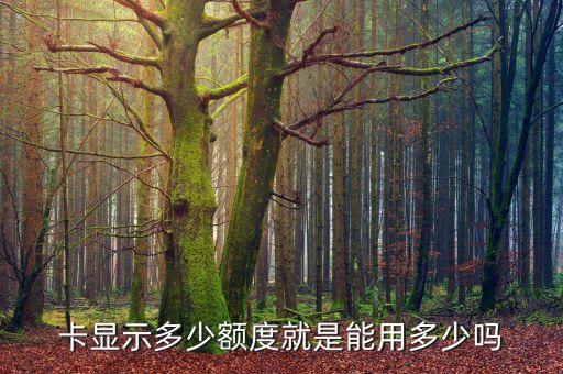 卡显示多少额度就是能用多少吗