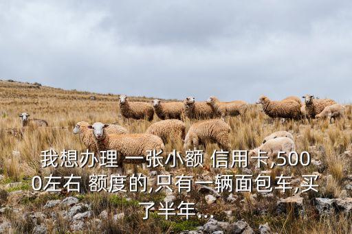 我想办理 一张小额 信用卡,5000左右 额度的,只有一辆面包车,买了半年...