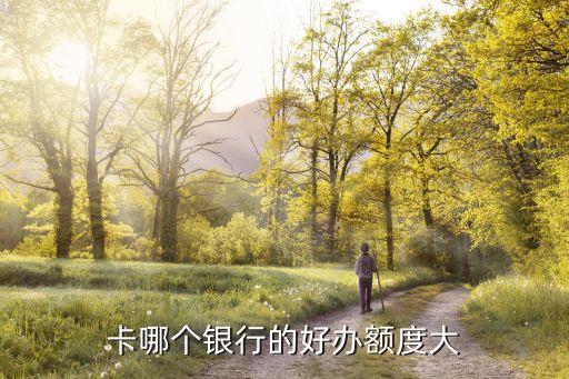 怎么看哪个信用卡额度高,工行的信用卡额度呢