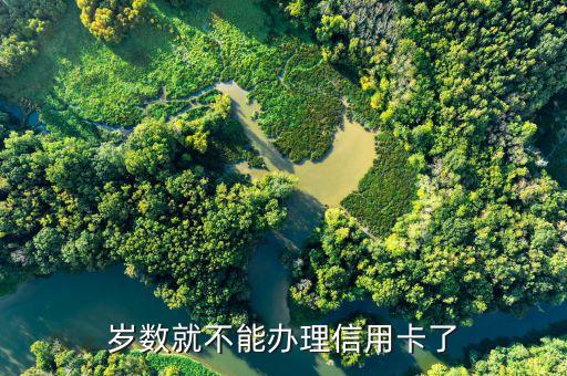 岁数就不能办理信用卡了