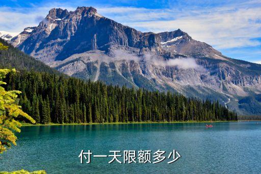 付一天限额多少