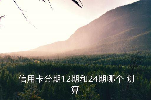  信用卡分期12期和24期哪个 划算