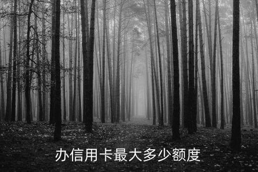办信用卡最大多少额度