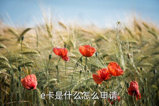 e卡是什么怎么申请